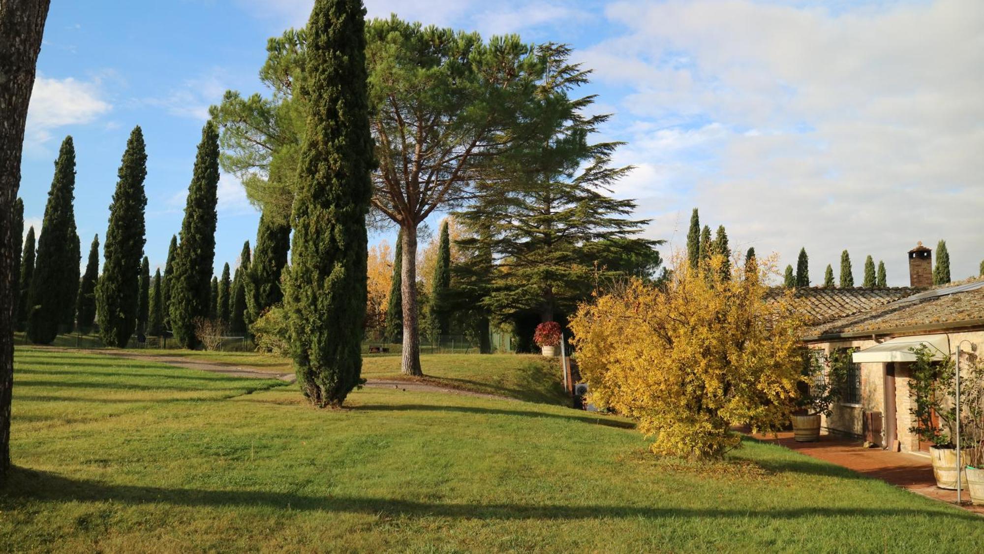 Agriturismo La Sovana Sarteano Zewnętrze zdjęcie