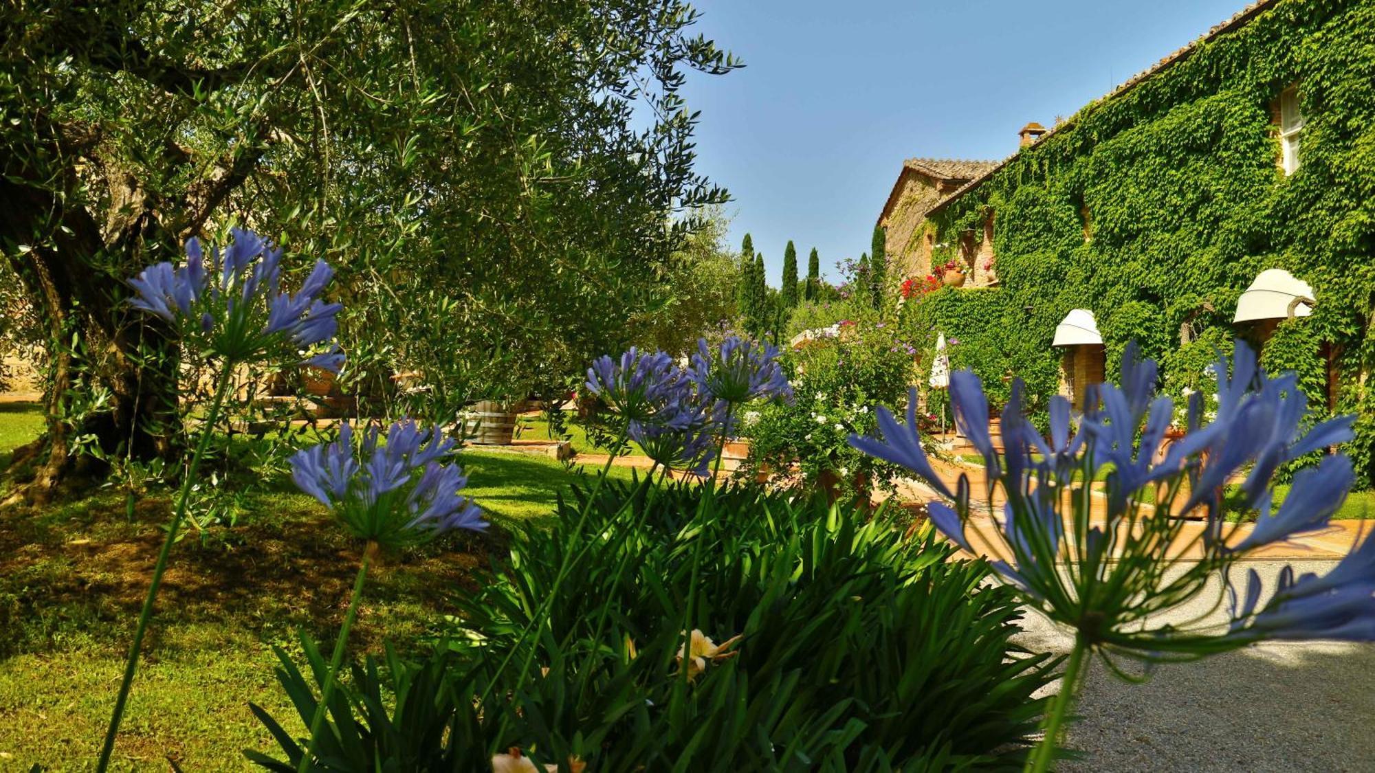 Agriturismo La Sovana Sarteano Zewnętrze zdjęcie