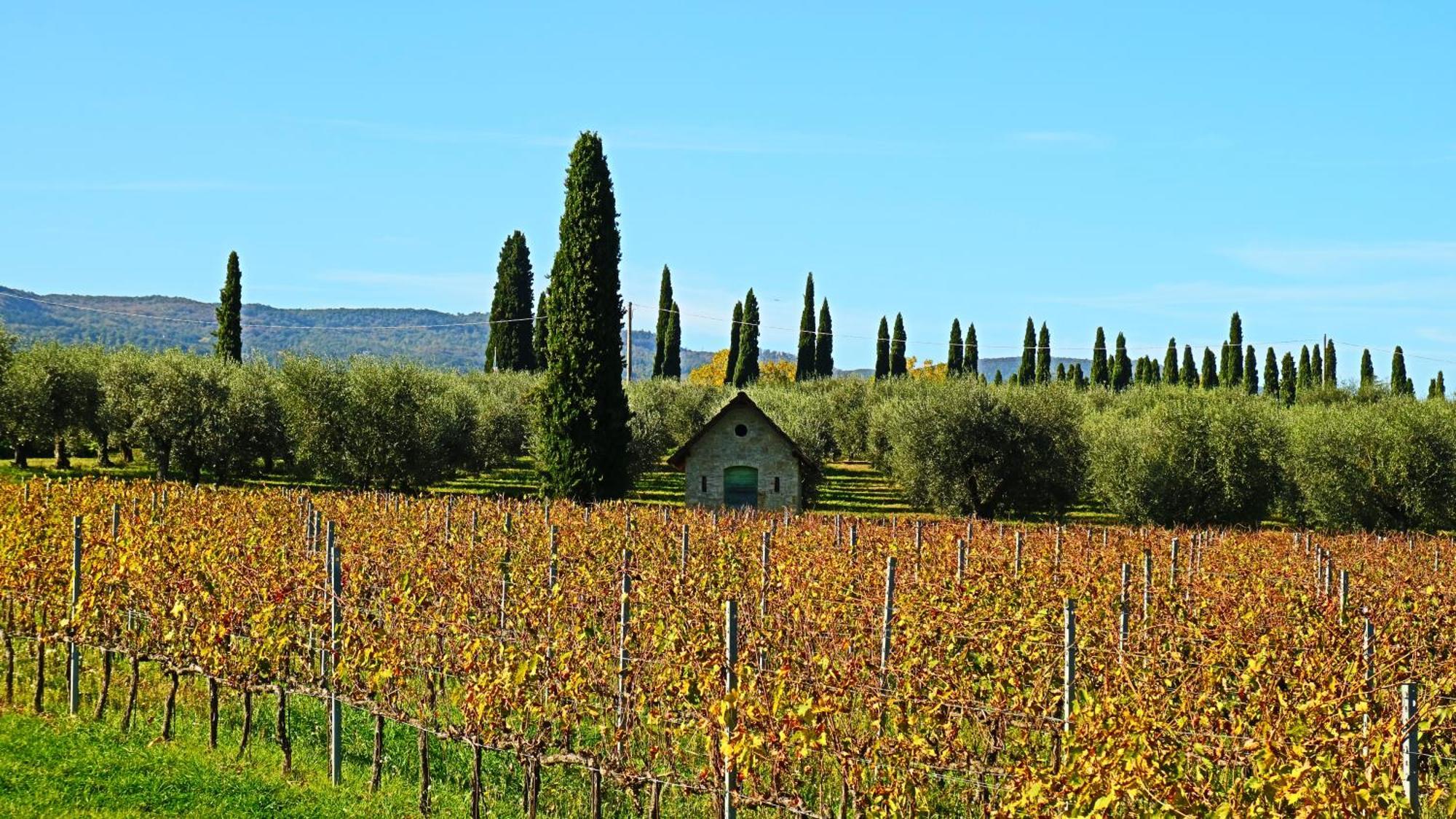 Agriturismo La Sovana Sarteano Zewnętrze zdjęcie