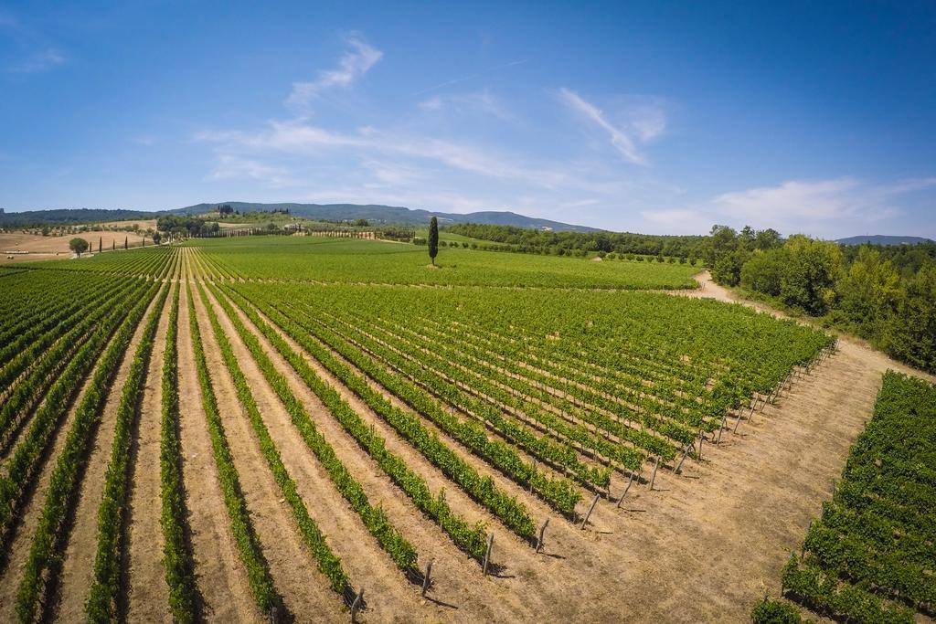 Agriturismo La Sovana Sarteano Zewnętrze zdjęcie